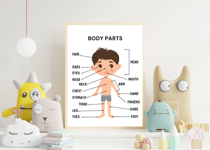 16 Educational Kids Posters